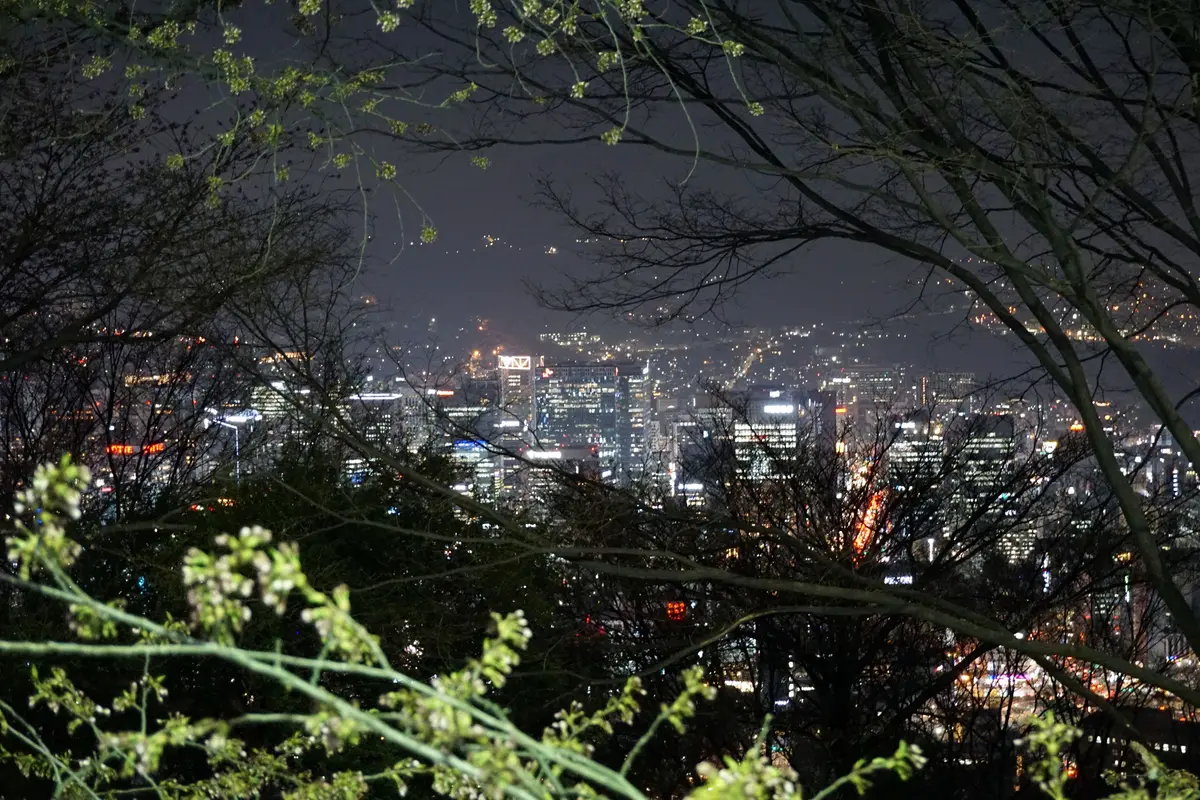 Seoul city skyline at night seen from Namsan Mountain